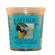 Lafeber's Macaw and Cockatoo Pellets 1