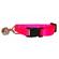 Ferret Bell Collar 1