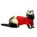 Ferret T-Shirt 1