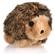 Aspen Hedgehog - Soft Bite  4