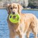 Kong Air Dog Squeaker Donut 3