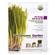 Pet Greens Garden Self Grow Pet Grass Kit 1