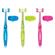Bamboo QuadBrush™ with Holder for Cats 1