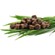 Pet Greens Cat Treats 3Oz 3