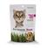 Pet Greens Crunchy Cat Treats 3Oz 1