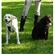 Sporn Double Dog Coupler 1