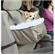 Tagalong Pet Booster Seat 3