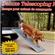 Deluxe Telescoping Pet Ramp 1