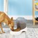 Pureness Auto Feeder 3