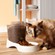 Pureness Auto Feeder 4