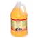 Bio Groom Flea and Tick Shampoo 1Gallon 1