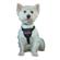 Clix Car Safe Harness for Dogs 1
