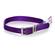 Nylon Collar - Purple 1