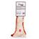 Skinneez Big Bite Coyote 22 2
