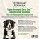 Ufs Triple Strength Dirty Dog Concentrated Shampoo 2