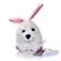 Booda Squatters - Rabbit 1