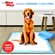 Wee Wee Pads Extra Large 14Pk 2