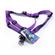 Large Comfort Wrap Adjustable Harness-1 6