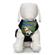 Four Paws Comfort Control Harness-Black 2