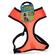 Four Paws Comfort Control Harness-Orange 7