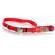 Nylon Adjustable Spectra Collar w/Metal Buckle 1