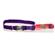 Nylon Adjustable Spectra Collar w/Metal Buckle 3