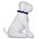 Coastal Nylon Single Layer Collar - Purple 2