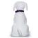 Coastal Nylon Single Layer Collar - Purple 3