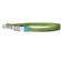 3/4 Nylon Lead 4Ft Pgr-Palm Grn 1