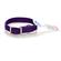 Coastal Nylon Collar 1