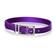 Nylon Collar - Purple 1
