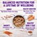 Wellness Canned Dog Food for Adult Dogs Turkey & Sweet Potato Recipe 2