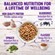 Wellness Super5Mix Adult Health - Large Breed Dry Dog Food 2