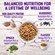 Wellness Super5Mix Complete Health Dry Dog Food - Chicken 2