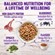 Wellness Super5Mix Complete Health - Lamb, Barley and Salmon Dry Dog Food 2