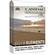 Canidae Grain Free Pure Elements Dry Dog Food for All Life Stages 1