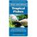 Tfh 101 Best Freshwater Fish 1