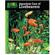 Tfh Animal Planet Care Of Livebearers 1