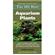 Tfh 101 Best Aquarium Plants 1