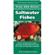 Tfh Adventurous Aquarist Guide 101 Best Saltwater Fish 1
