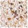 Carib African Ivory Coast Sand 1
