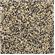 Carib African Sahara Sand 1
