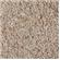 Carib Aragonite Reef Sand 1