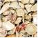 Carib Aruba Shell 1