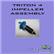 Deep Blue Triton Impeller w/Shaft 2
