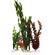Tetra Ww Plant Multi-Pack 1