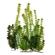 Tetra Ww Plant Multi-Pack 3