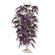 Br Plant Amazon Butterfly 2
