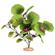 Br Plant Broad Lily Leaf  2