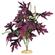 Br Plant Butterfly Leaf W/Buds 2
